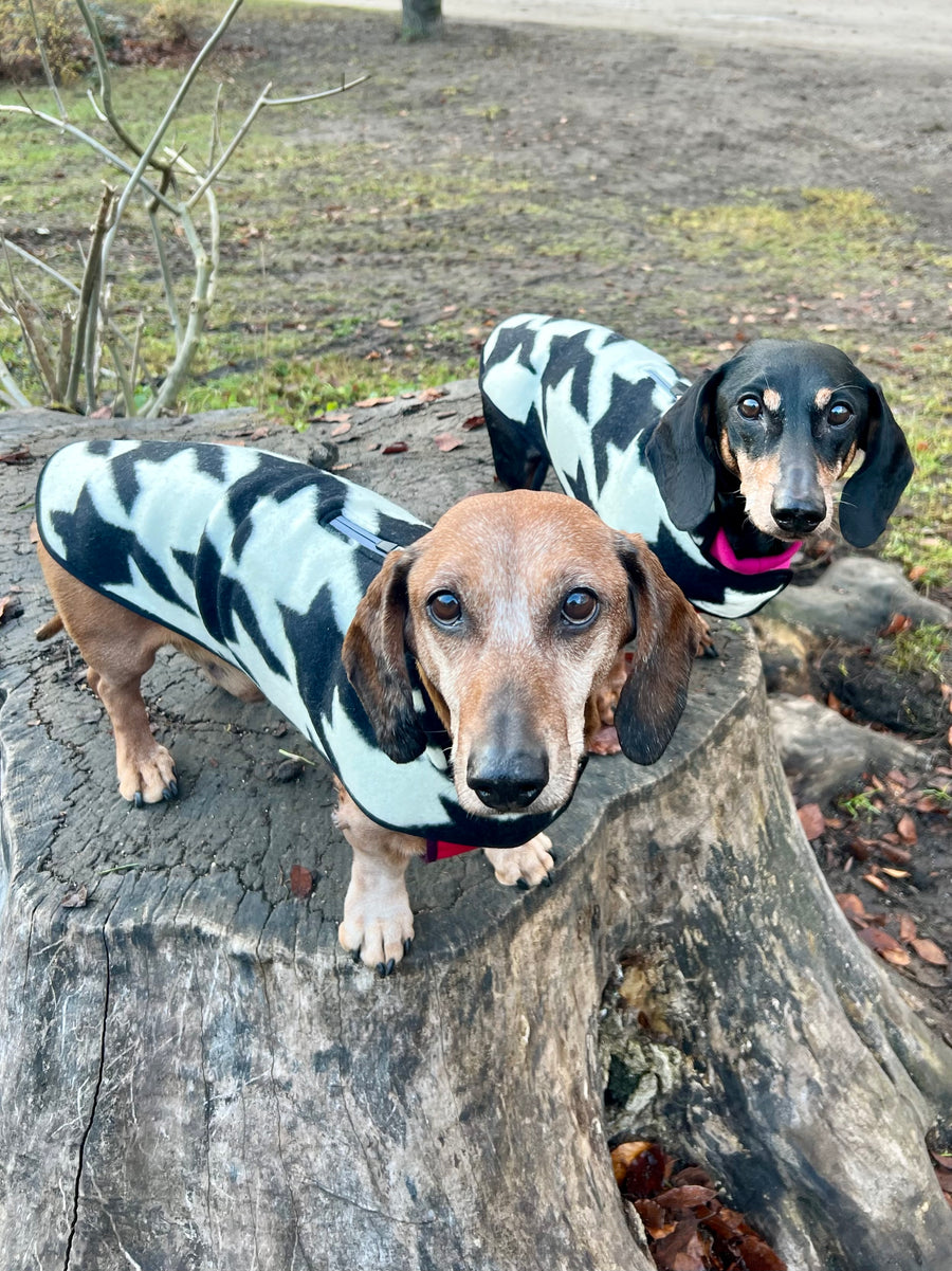 The new Emily in Paris 2 Houndstooth dog coat