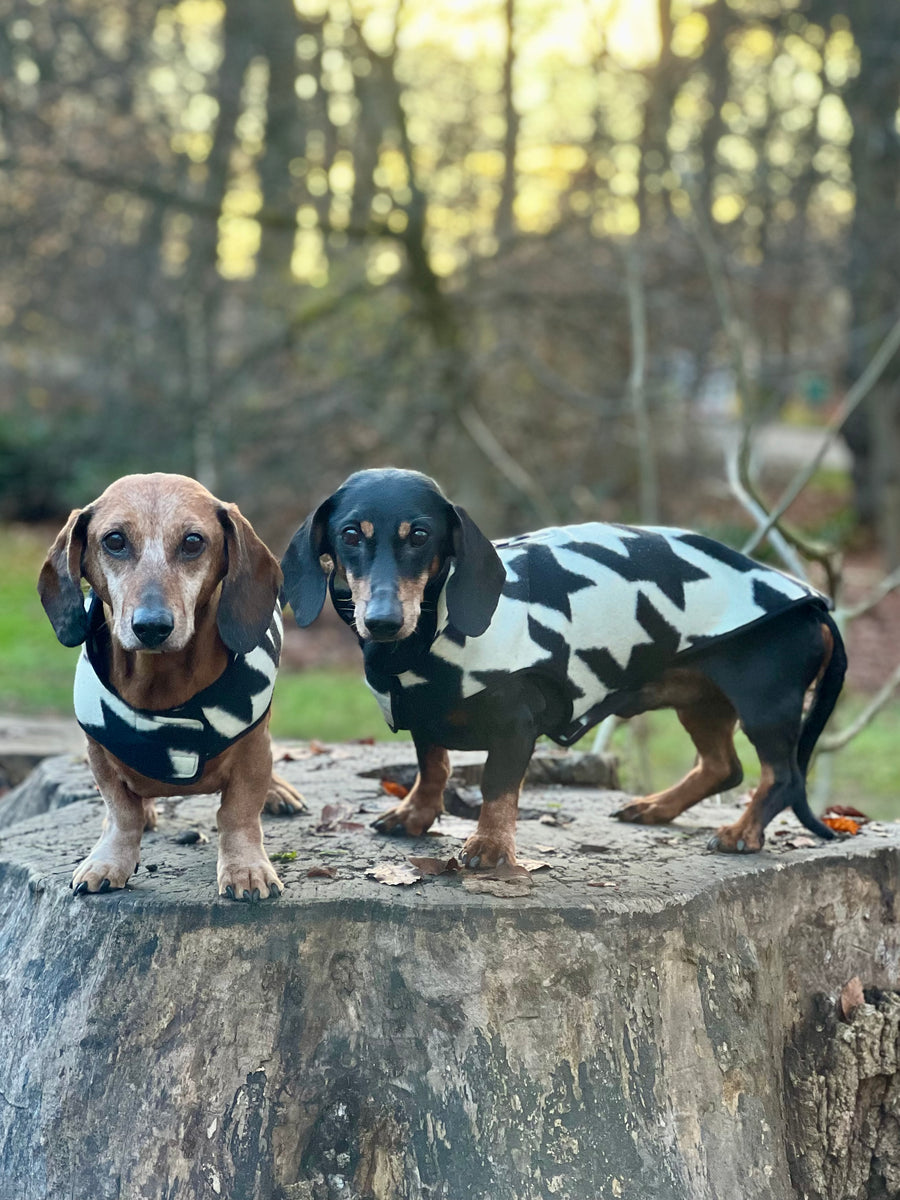 The new Emily in Paris 2 Houndstooth dog coat