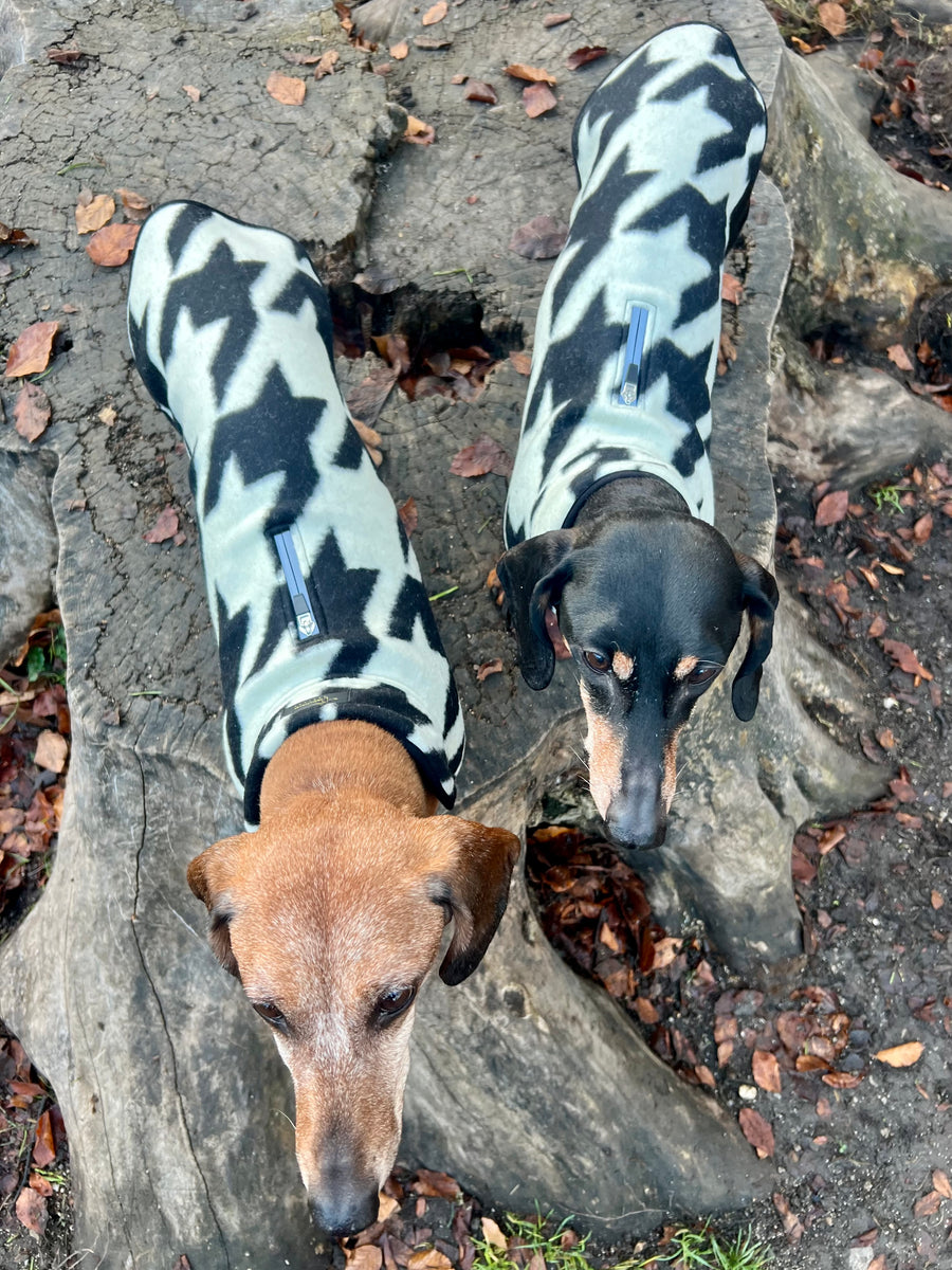 The new Emily in Paris 2 Houndstooth dog coat