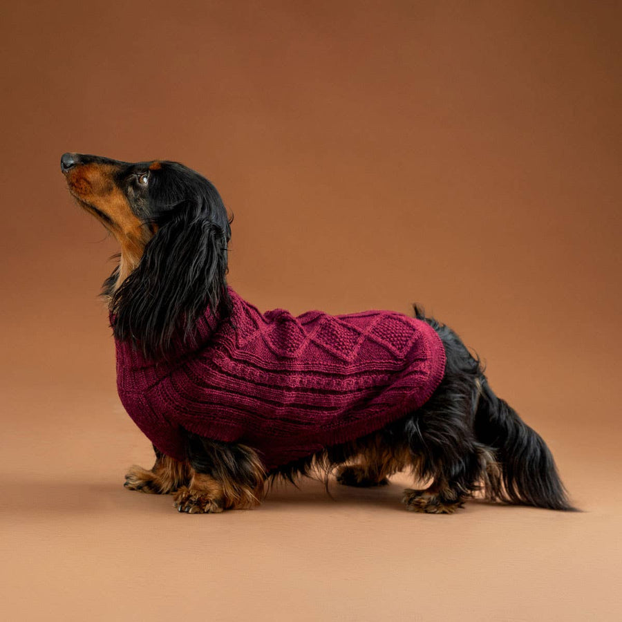 Weinroter Aran-Alpaka-Hundepullover