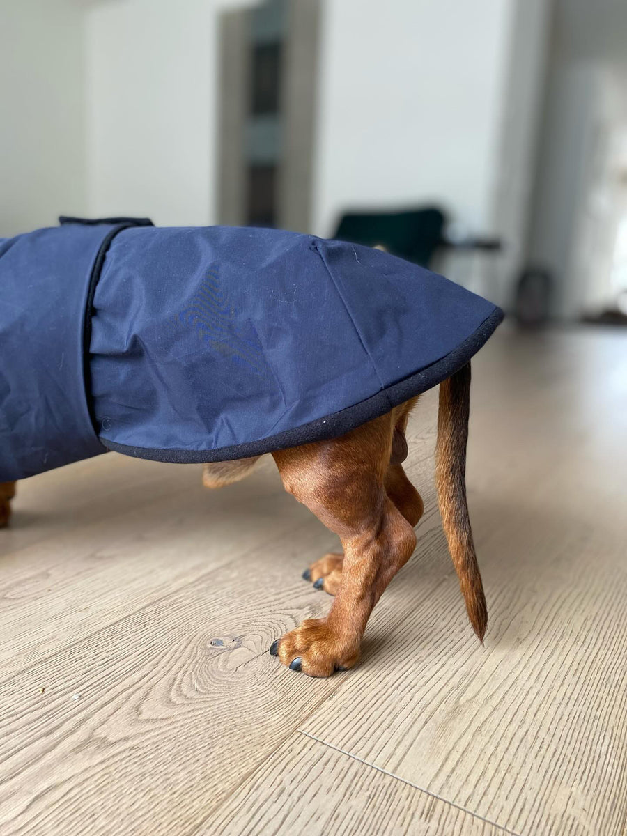 Parka Monet in navy with black fleece lining