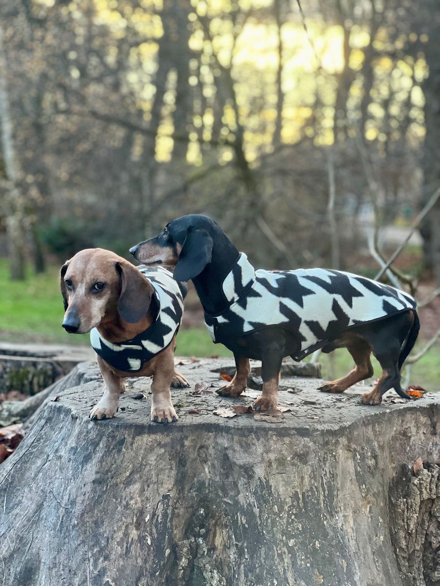 The new Emily in Paris 2 Houndstooth dog coat
