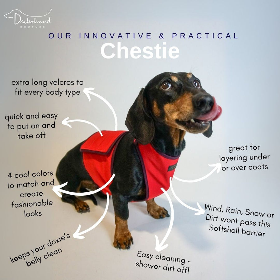 Dachshund Softshell Chesty Manet