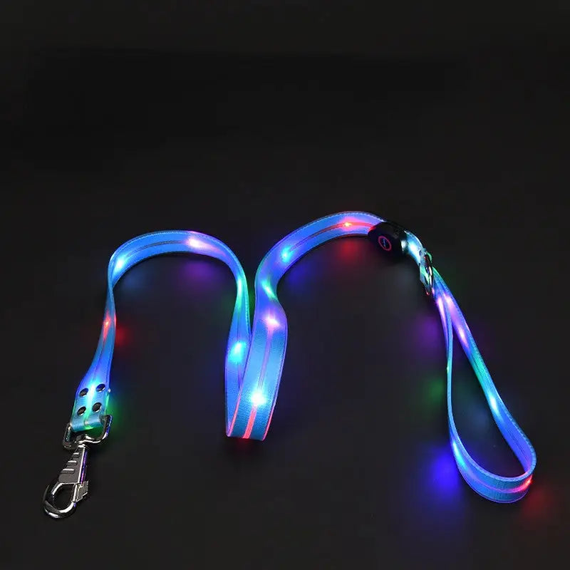 LED dog leash