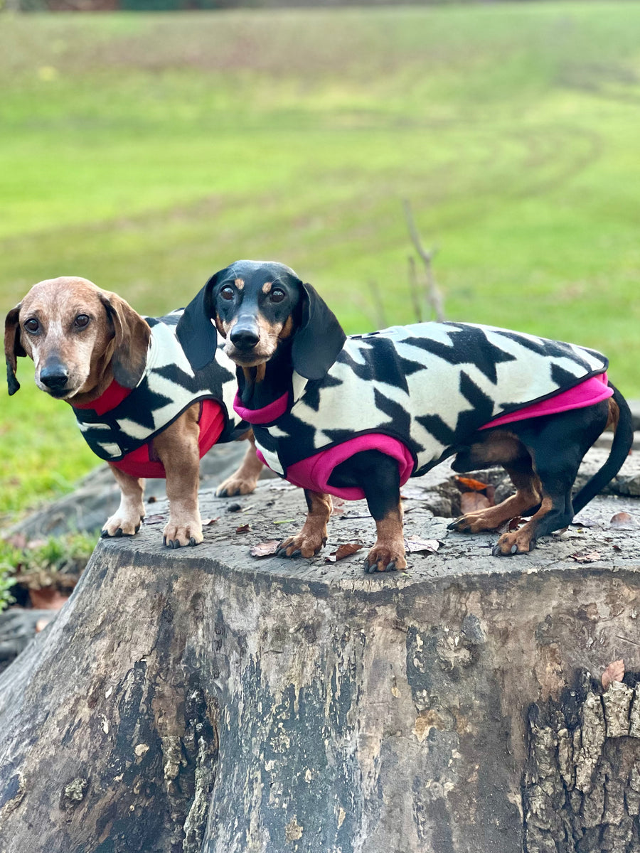 The new Emily in Paris 2 Houndstooth dog coat