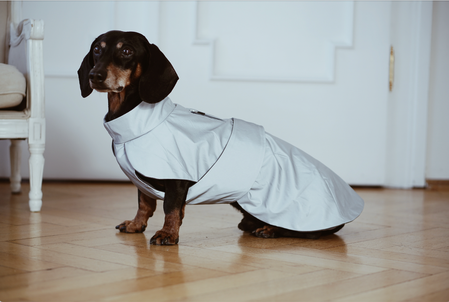 Dachshund reflective Parka Mondrian