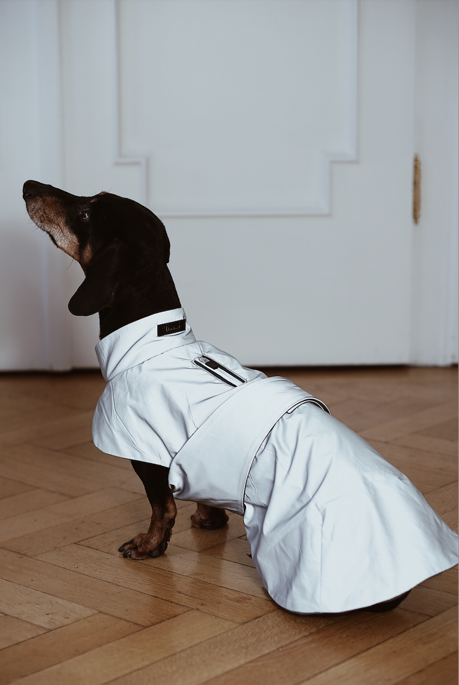 Dachshund reflective Parka Mondrian