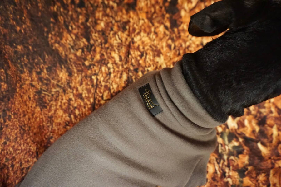 Olive Green Fleece Pullover for Dachshunds