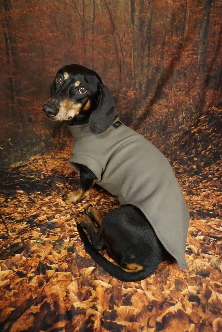 Olive Green Fleece Pullover for Dachshunds