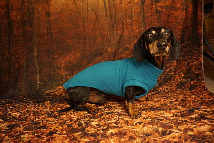 Petrol Blue Fleece Pullover for Dachshunds