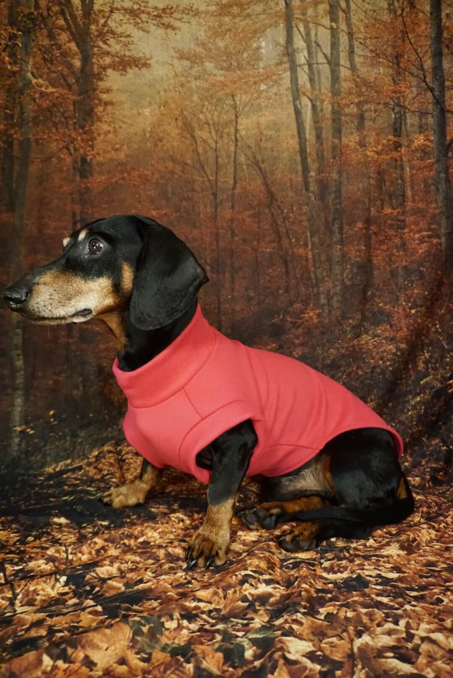 Pink Fleece Pullover for Dachshunds