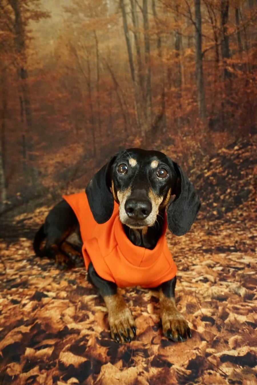 Red Fleece Pullover for Dachshunds