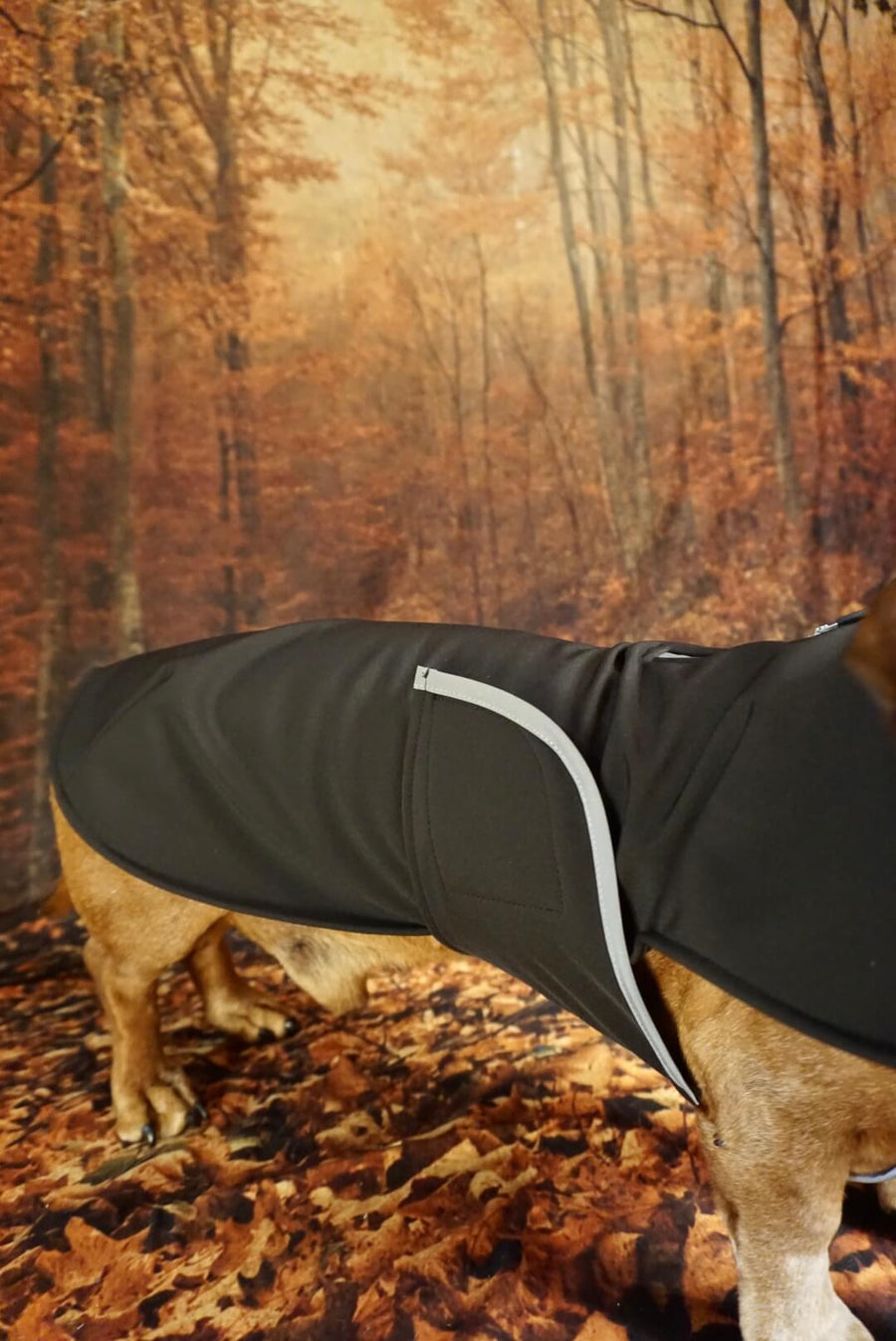 Manteau Softshell noir pour chien avec poitrine couverte