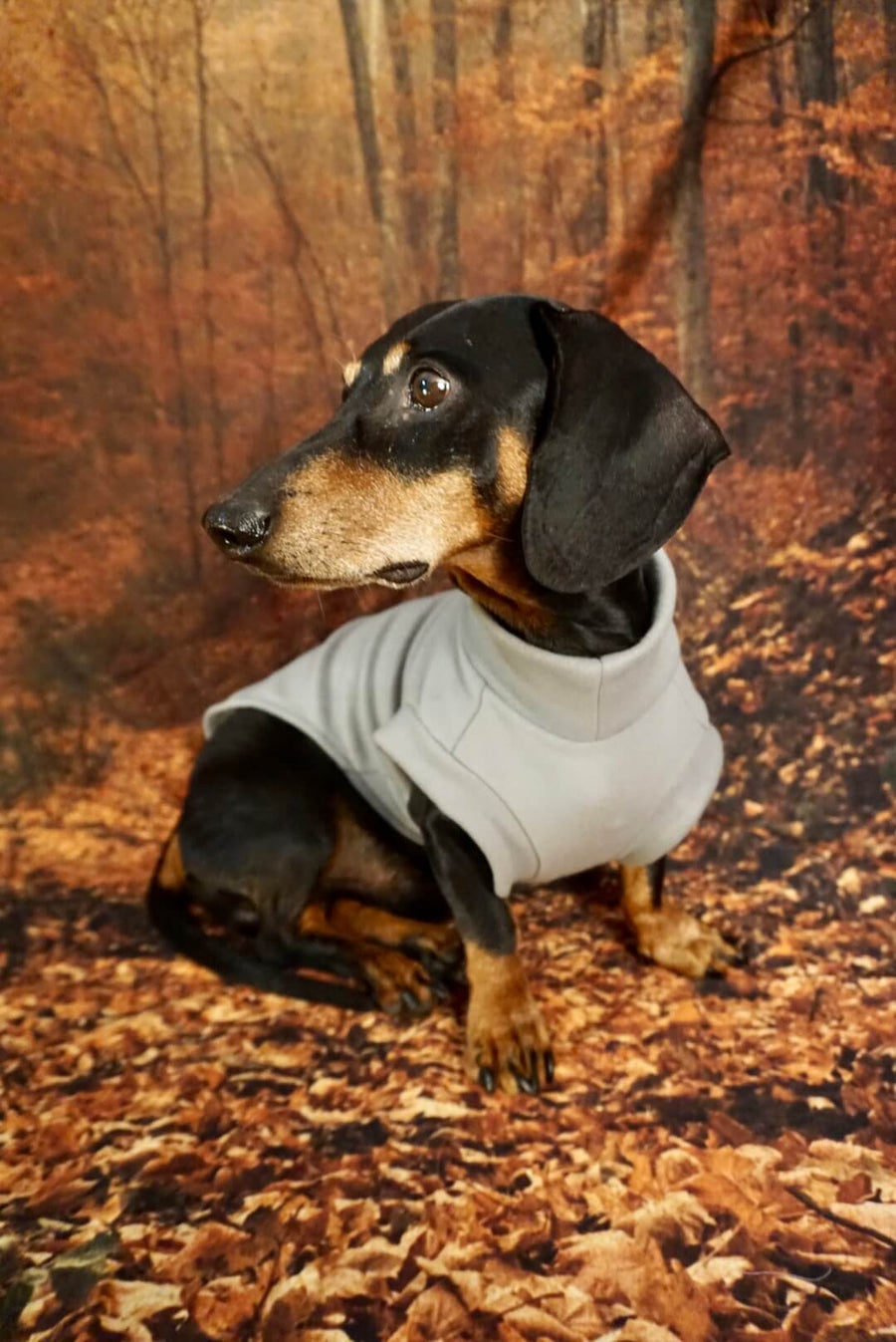 Light Grey Fleece Pullover for Dachshunds