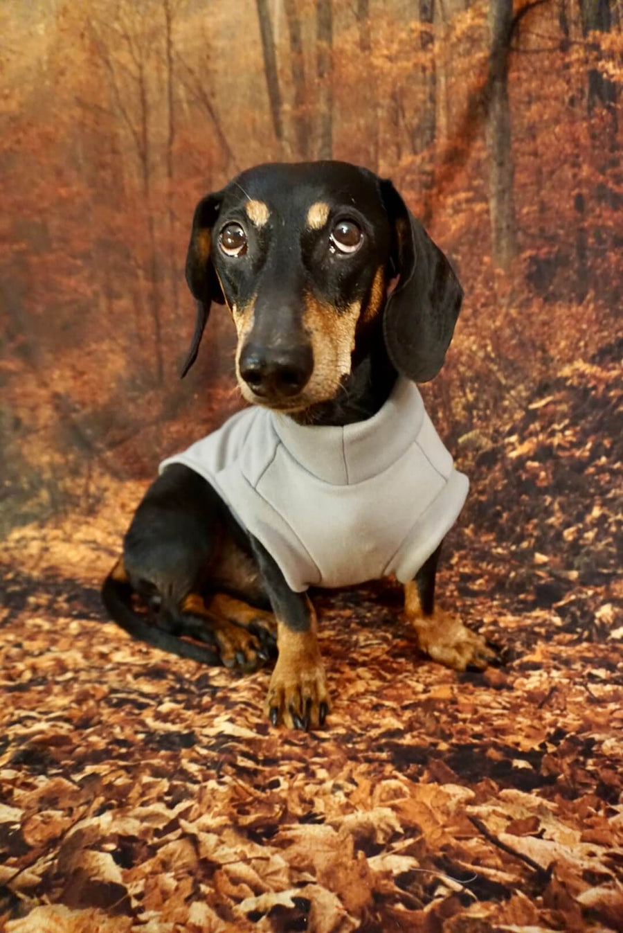 Light Grey Fleece Pullover for Dachshunds