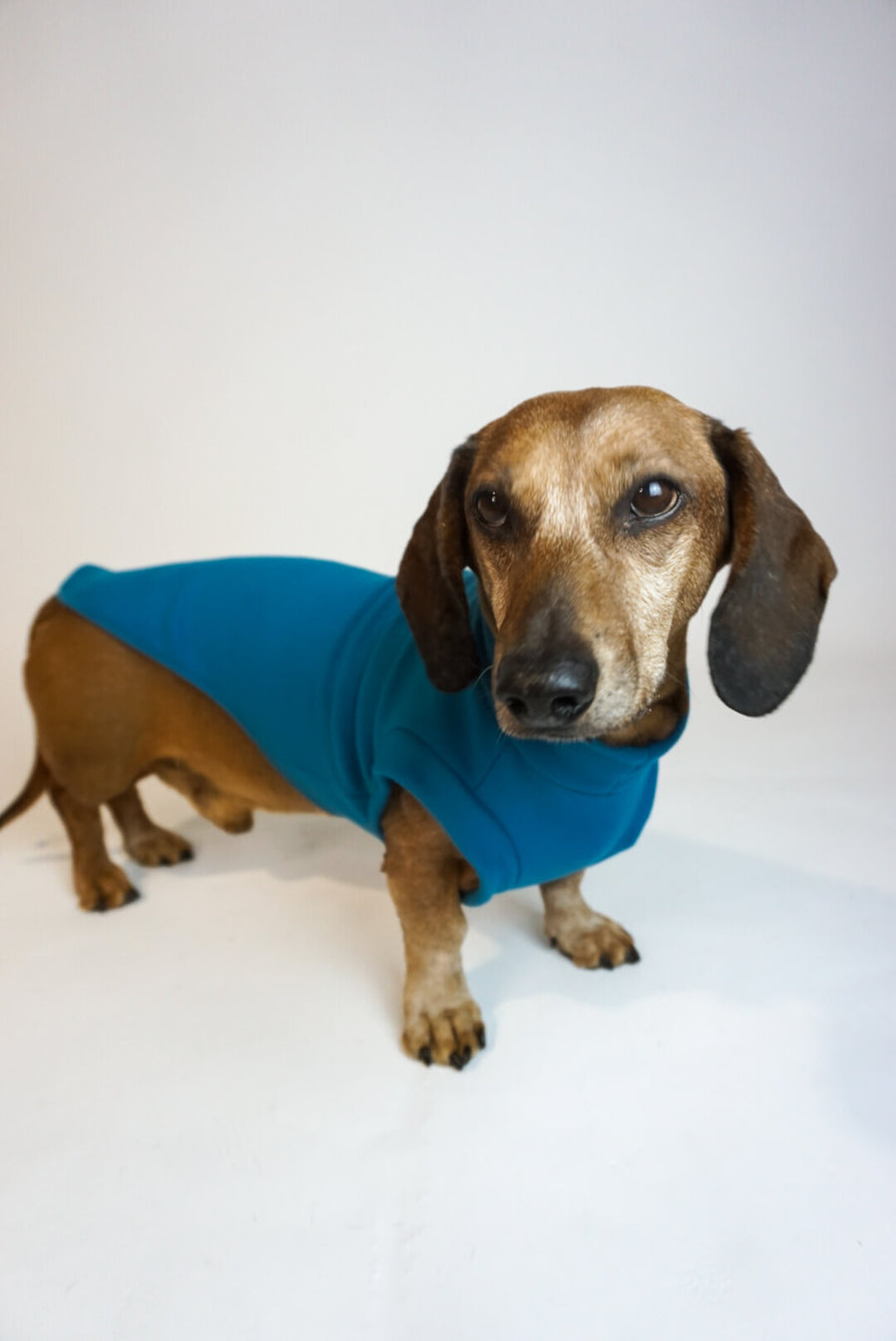 Petrol Blue Fleece Pullover for Dachshunds