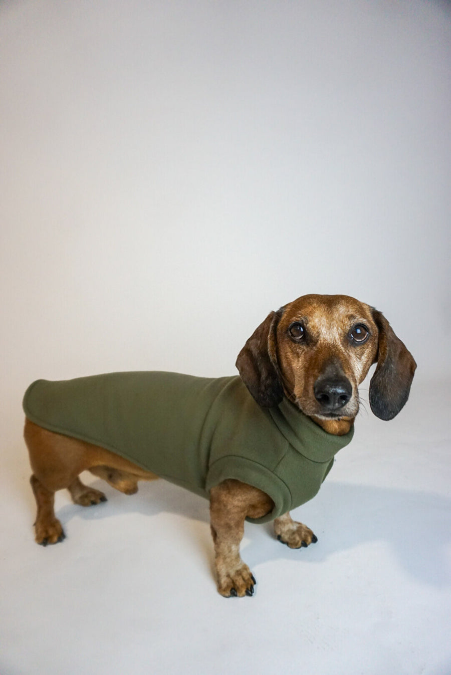 Olive Green Fleece Pullover for Dachshunds