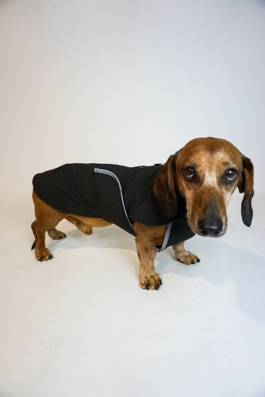 Schwarzer Softshell-Hundemantel mit bedeckter Brust