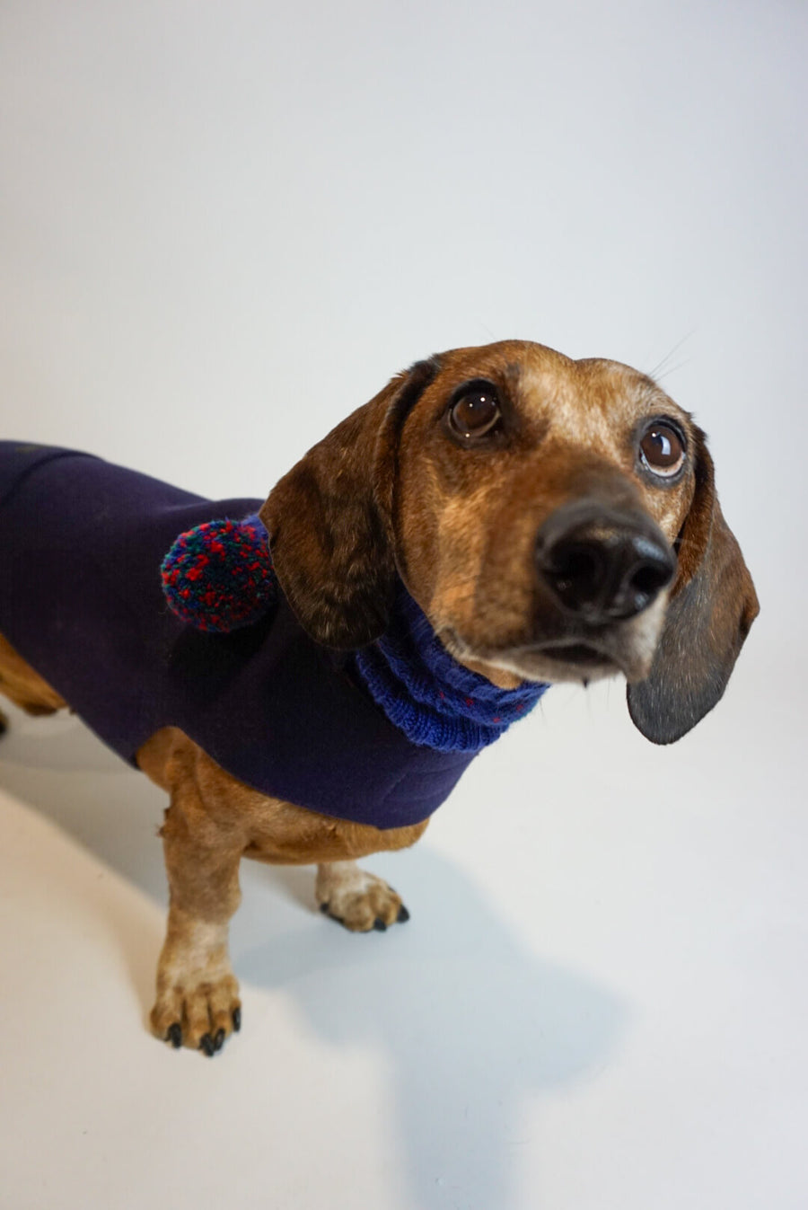 Kandinsky purple wool coat + Alpaca Hat