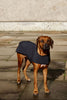 Black Softshell Raincoat for bigger breeds