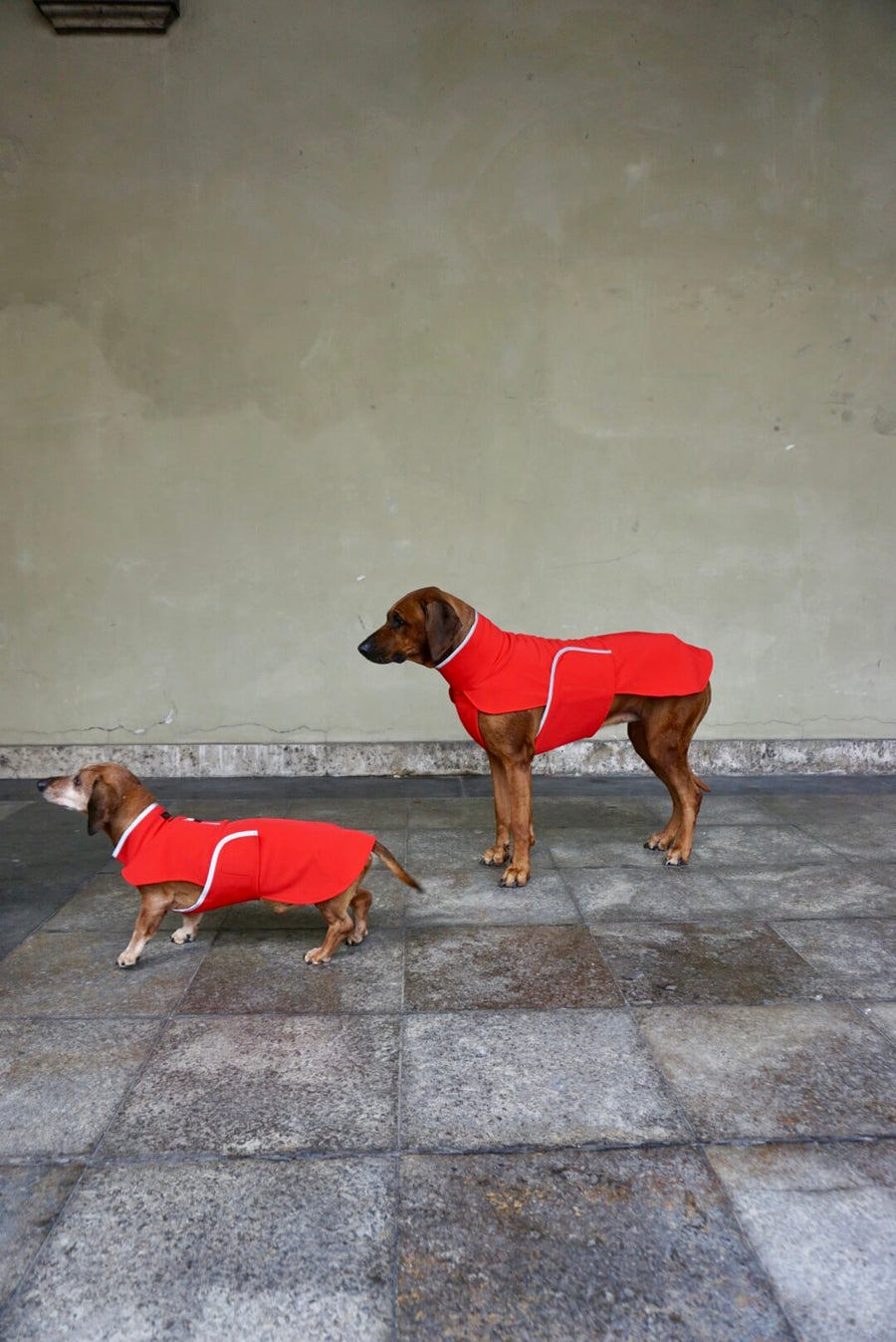 Red Softshell coat for larger Breeds