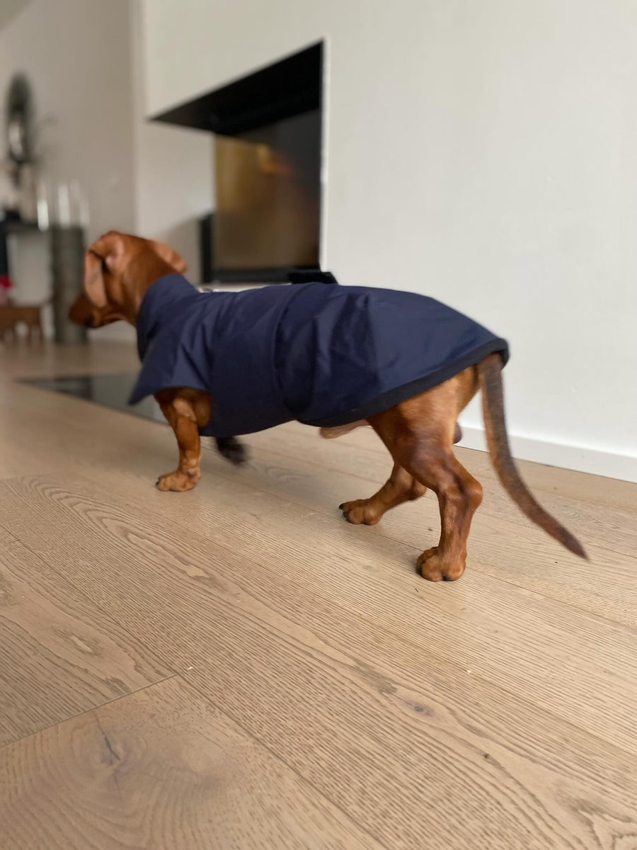 Dachshund reflective Parka Mondrian