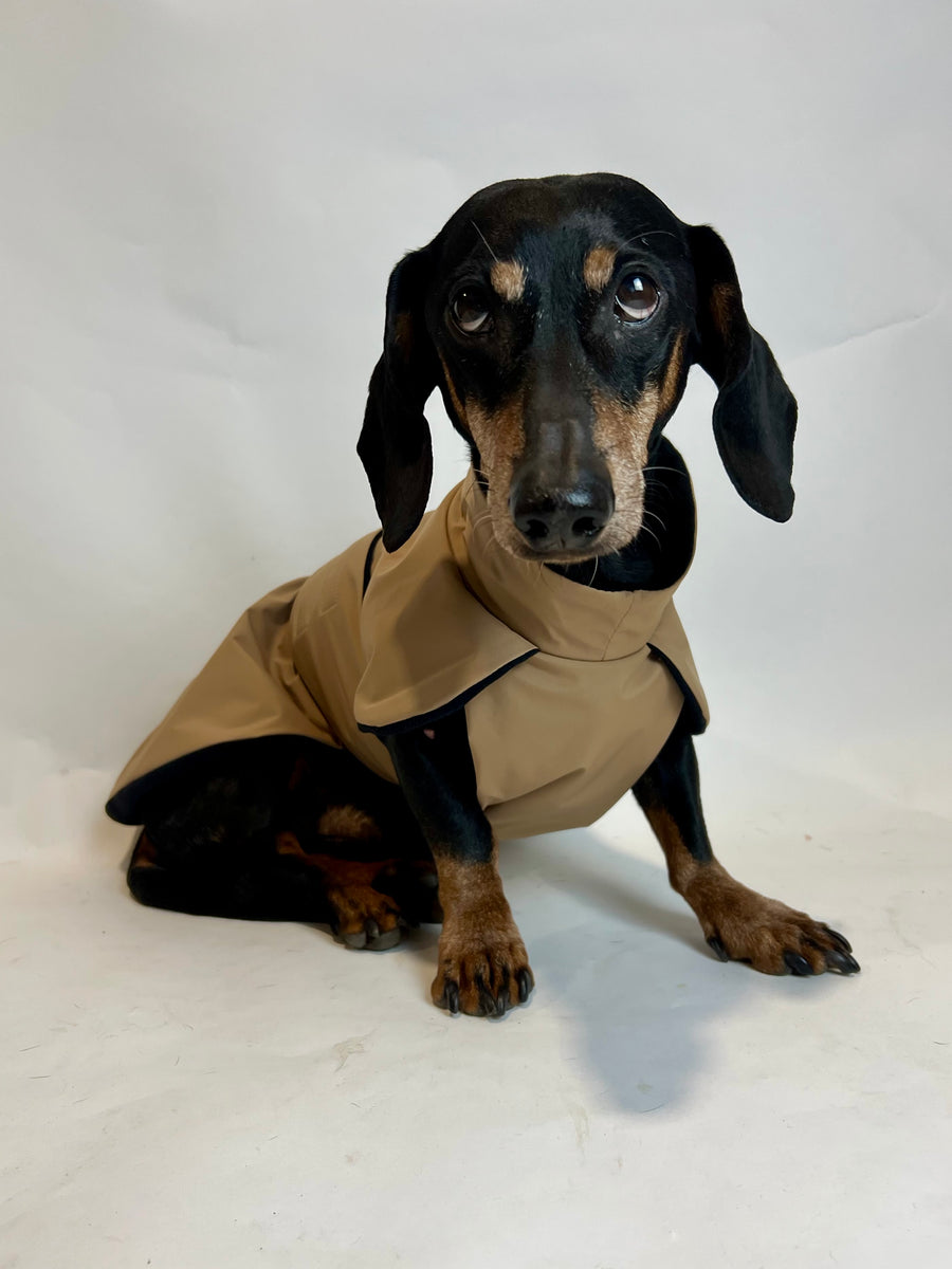 Beige Parka with Black Fleece Lining