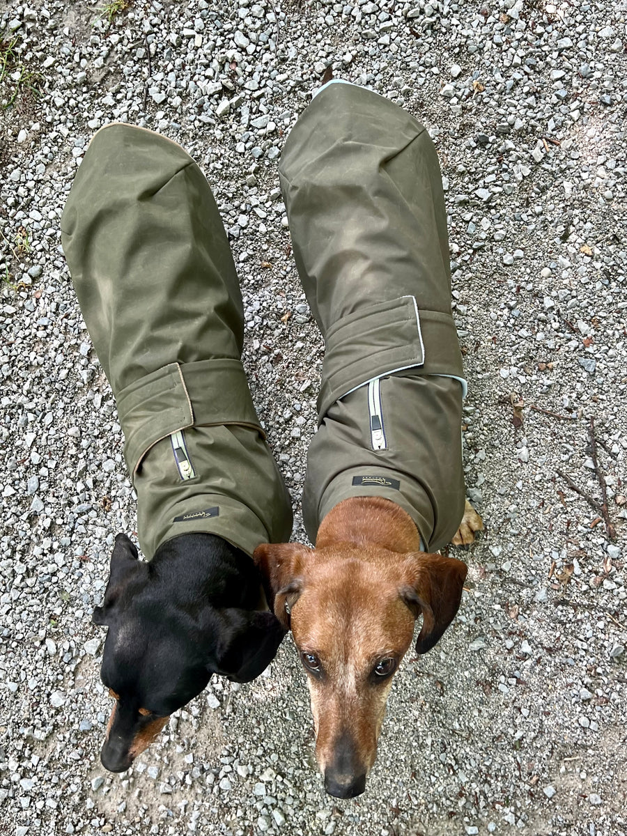 Green Parka Signac with LIGHT BLUE fleece lining