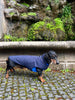 Navy Softshell raincoat for Dachshunds