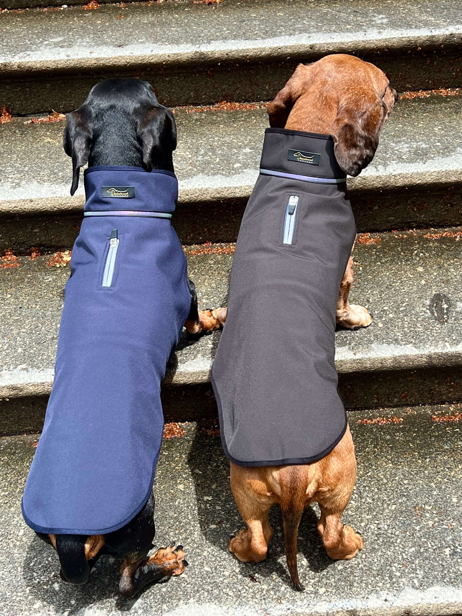 Navy Softshell raincoat for Dachshunds