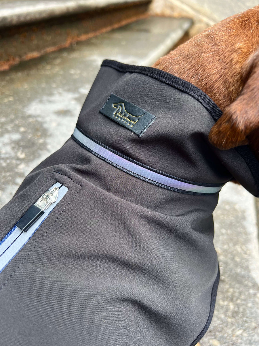 Black Softshell raincoat for Dachshunds