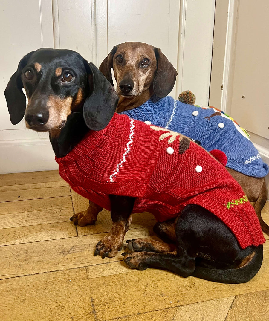 Red Christmas dachshund sweater Rudolph