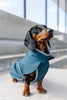 Petrol Softshell Dog Coat with Covered Chest