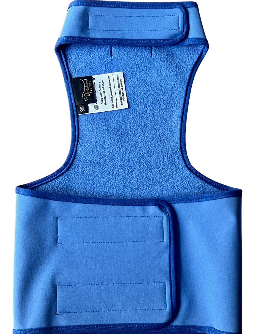 Gilet Softshell bleu pour teckel 