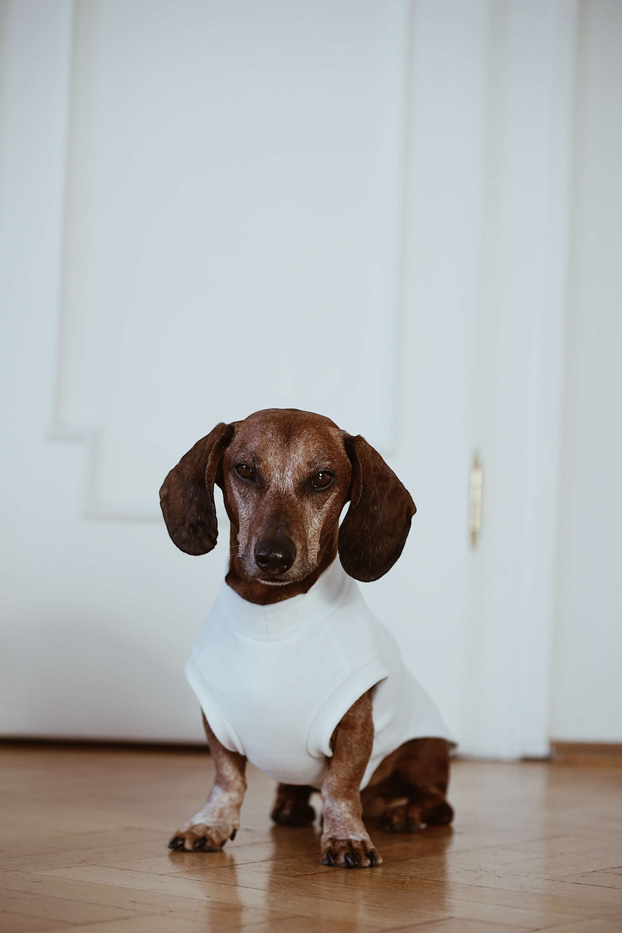 Weißer dünner Fleece-Dackelpullover George