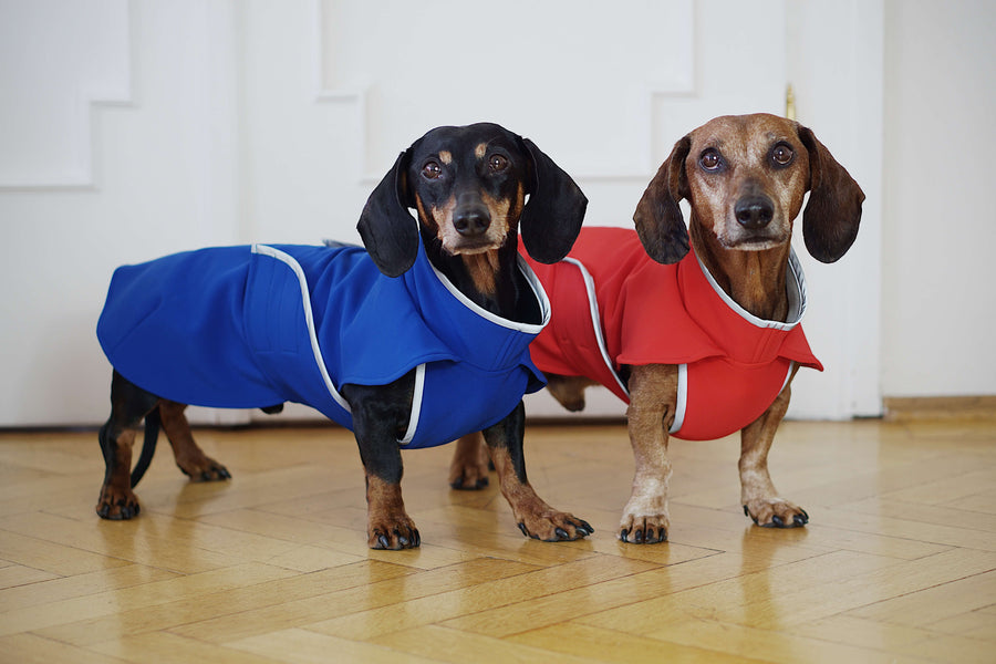 Red thick and stretchy Softshell dachshund coat style Munch