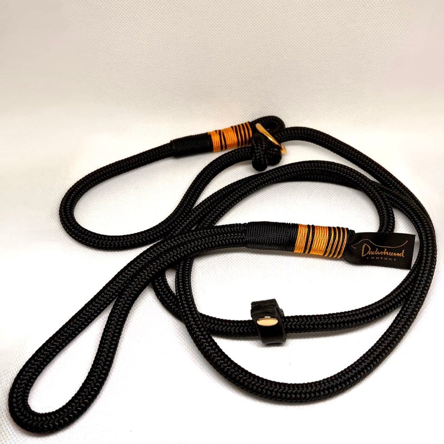 Black retriever dog lead